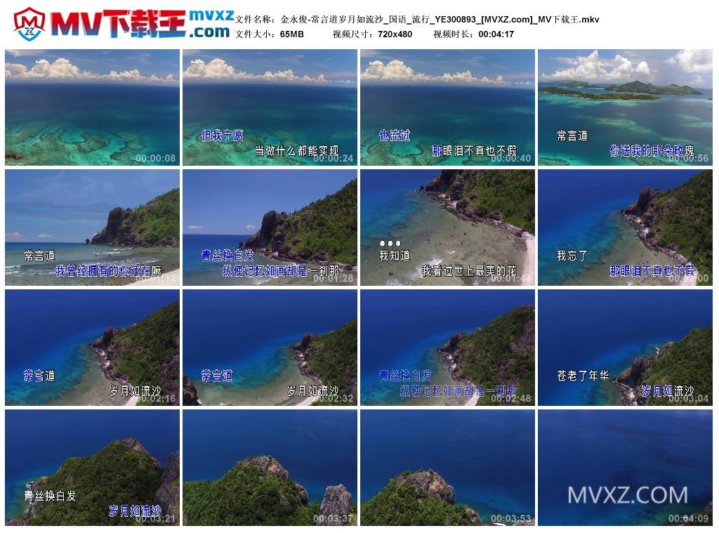 金永俊-常言道岁月如流沙_国语_流行_YE300893